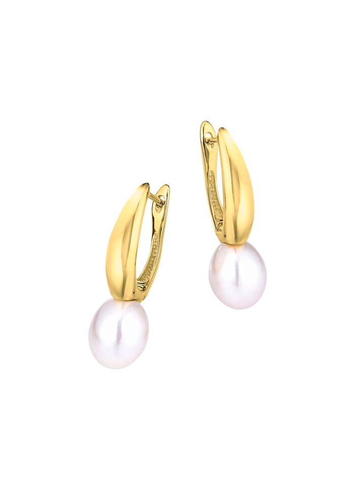 Oorbellen zilver 925/- 