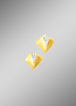 Chique bicolor oorknopjes met diamanten 
