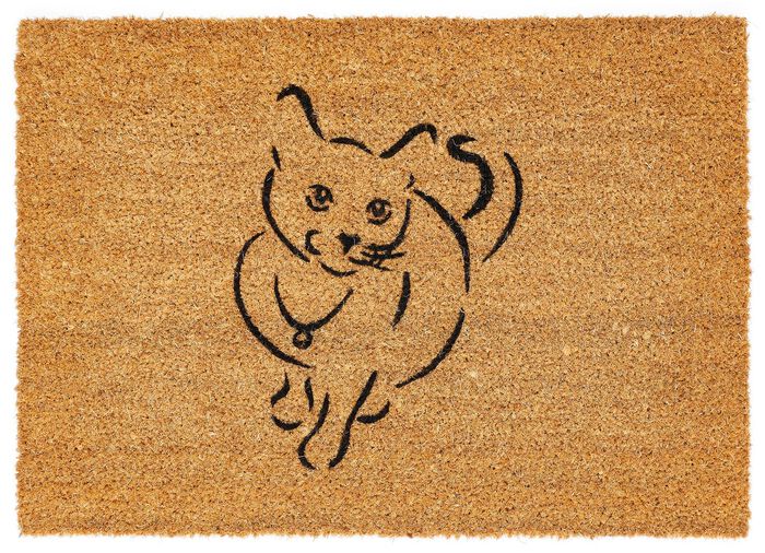 Hoogwaardige deurmat van kokosnoot 