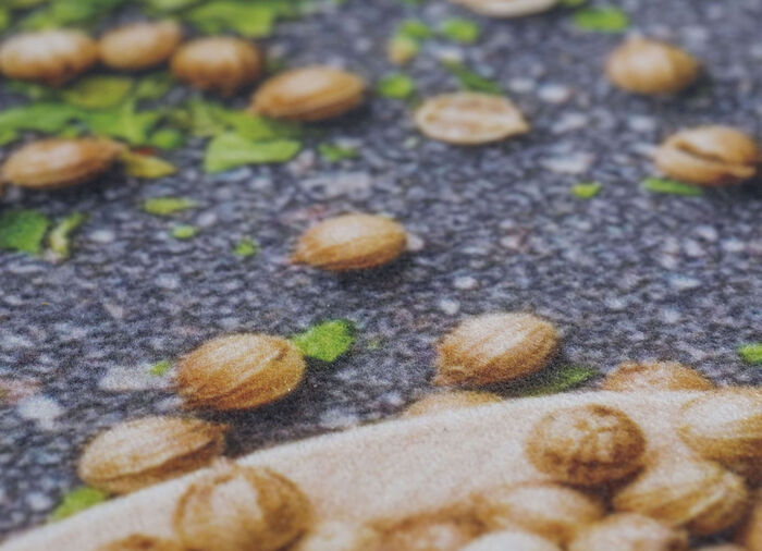 Keukenloperkruiden, duurzaam MULTICOLOR