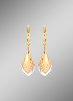 Charmante oorbellen in driekleur 