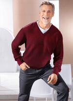 Trui met V-hals en gestructureerd ontwerp in 3 kleuren 