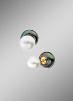 Omkeerbare oorknopjes 