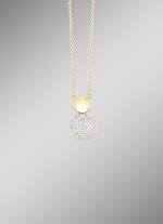 Prachtige ketting met 60 diamanten 