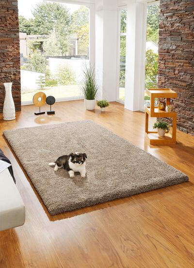 Combinatie sterke bruggen, galerijen en tapijten van dicht geweven hoogpolig pool 