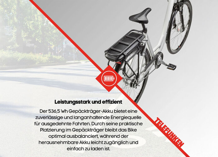 Stads e-bike RC667 van TELEFUNKEN 