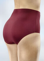 Set van vijf slips met elastische band BORDEAUX