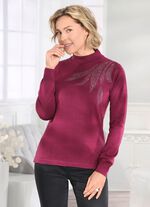 Trui met bordversiering en met nieuwe wol 