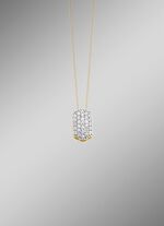 Edele hanger met diamanten 