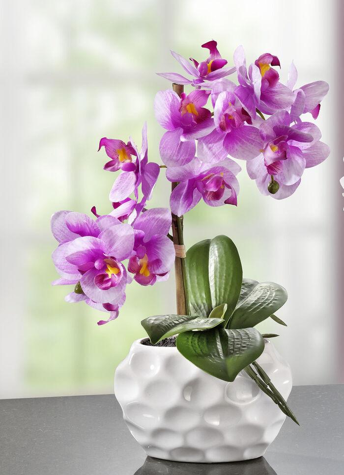 Orchideeënarrangement in keramieken vaas ROZE
