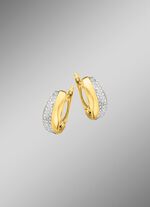 Klassieke oorringen met diamanten 