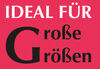 MONAnl_NL1IdealFuerGrosseGroessen