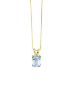 Hanger met ketting 