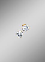 Oorknopjes met zirkonia 