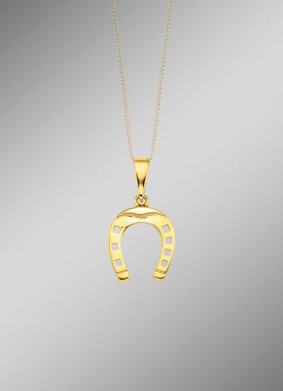 Prachtige hoefijzerhanger 