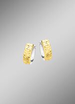 Tweekleurige creolen 