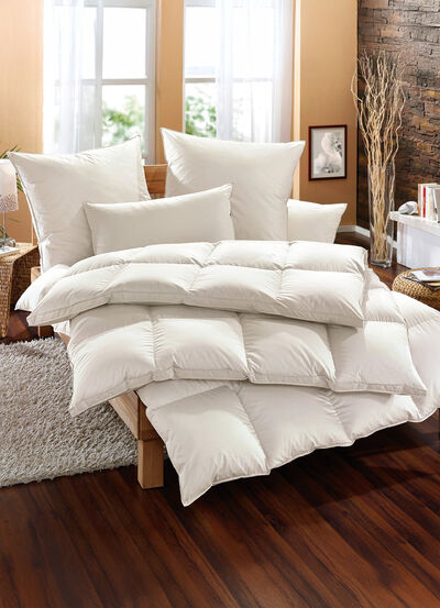 Exclusief slaapcomfort: Musk Royal beddengoed assortiment van Häussling 