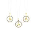 Gouden dierenriemhanger met zirkonia 