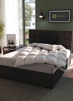 Hoogwaardig assortiment beddengoed van eendendons van Spessarttraum &ndash; Topkwaliteit voor een goede nachtrust 