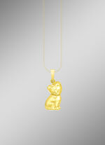 Grote kattenhanger 