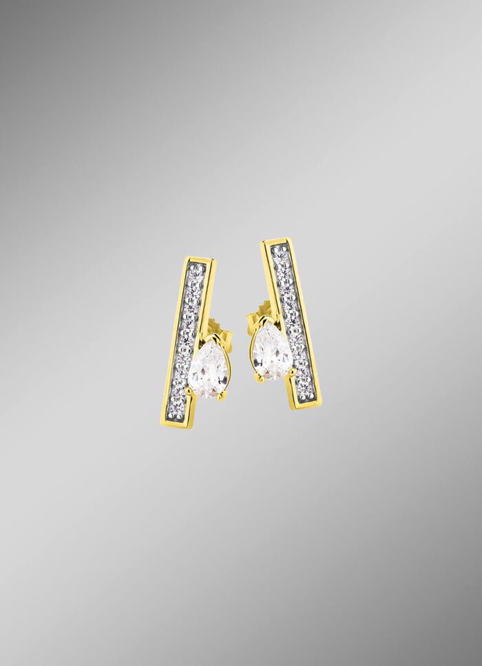 Interessante oorbellen met zirkonia 