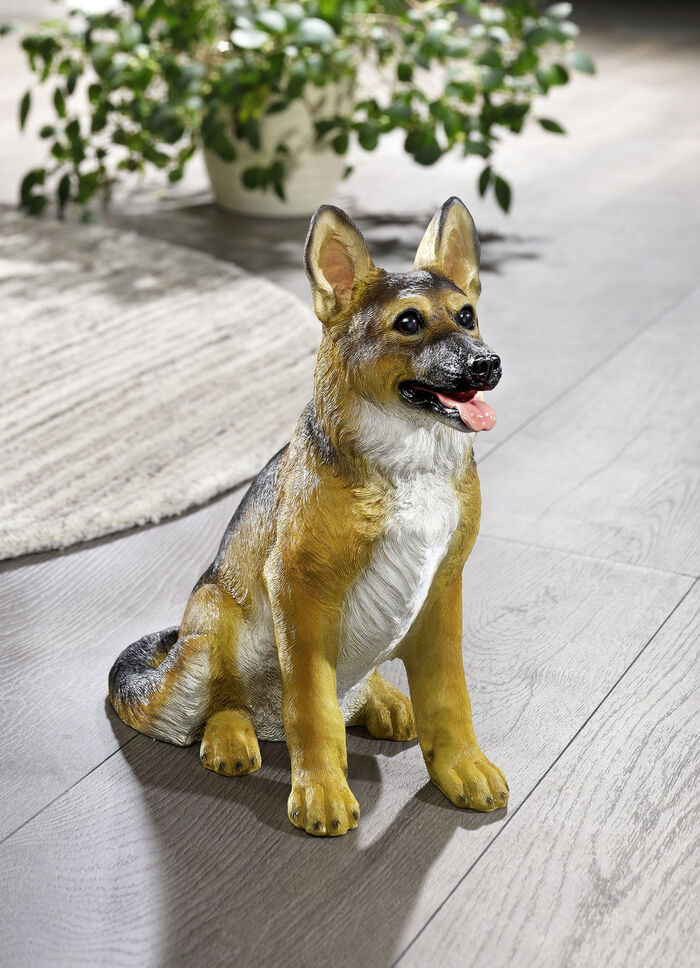 Weer- en vorstbestendige herdershond 