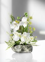 Prachtig orchideeënarrangement voor in huis 