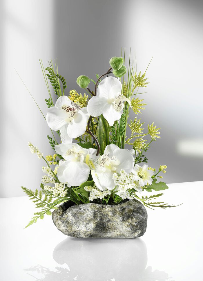 Prachtig orchideeënarrangement voor in huis 