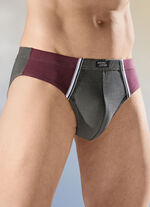 Set van vier slips met inzetstukken 