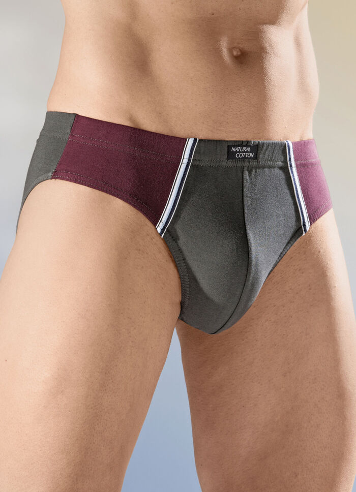 Set van vier slips met inzetstukken 