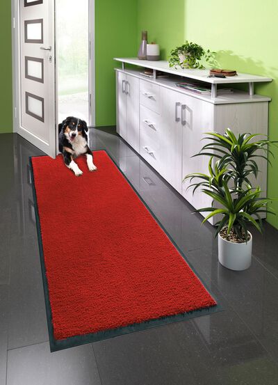 Vuilvangmatten voor binnen en buiten 