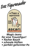 MONAnl_NL1Power_Ascari_2014H_N_detail