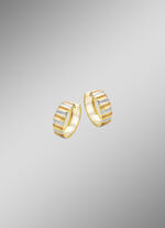 Elegantie in elk facet &ndash; driekleurige creolen 