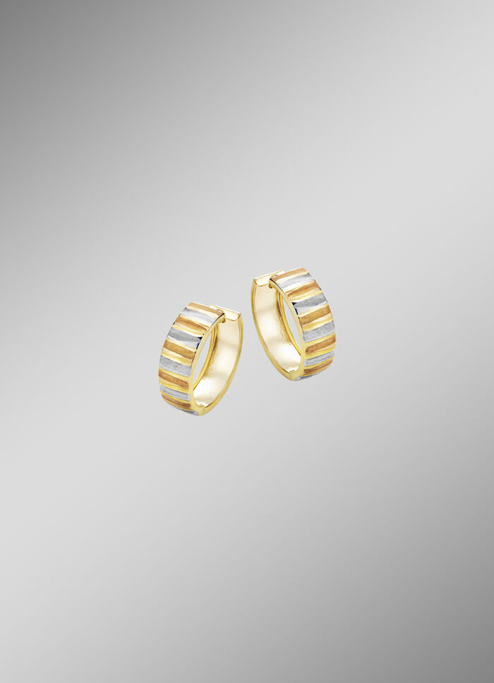 Elegantie in elk facet &ndash; driekleurige creolen 