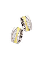 Creolen in twee kleuren met synthetische zirkonia 