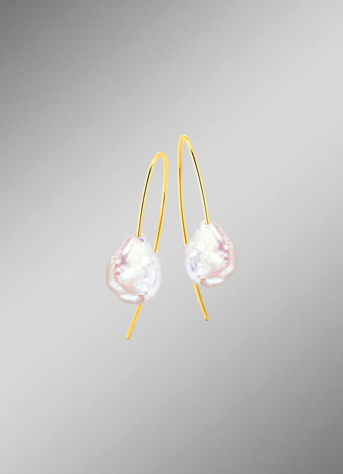 Oorhaakjes goud 585/- 