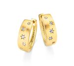 Prachtig paar oorringen 