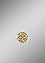 Filigraan medaillon om te openen in tweekleurig 