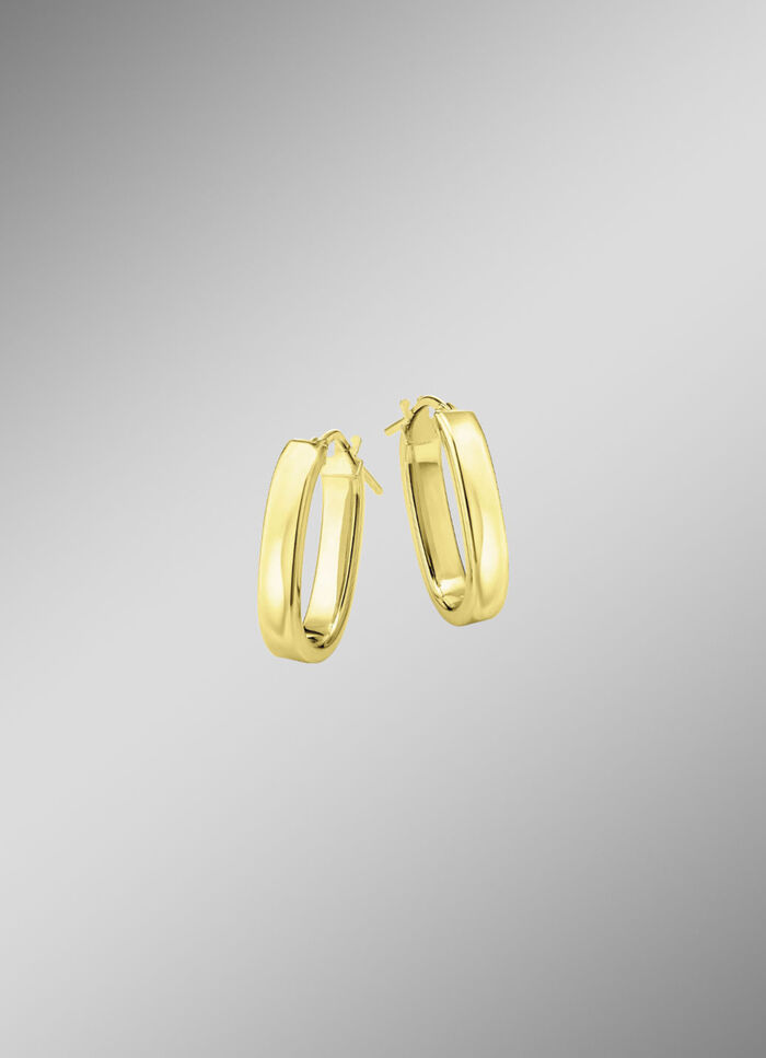 Prachtige creolen van verguld zilver 