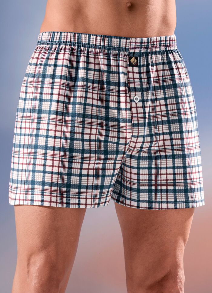 Set van vier boxershorts, geruit, met knoopsluiting 