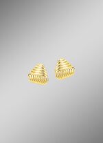 Prachtige oorbellen met groefontwerp 