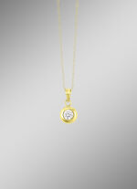 Charmante hanger met zirkonia 