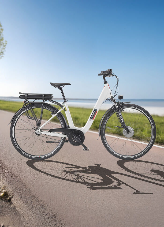 Stads e-bike RC836 van TELEFUNKEN 