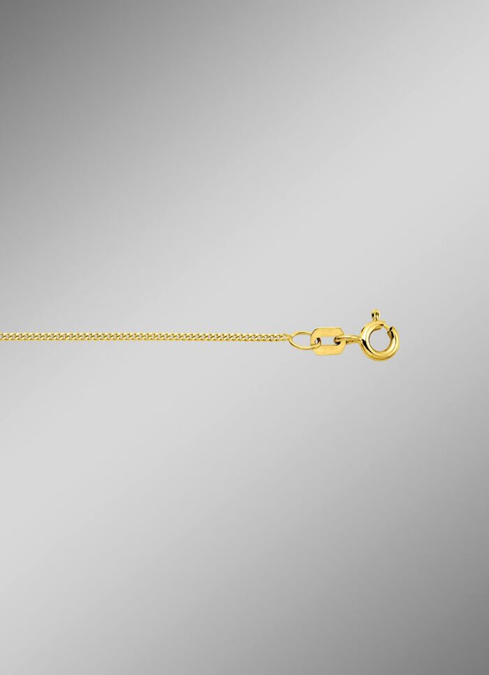 Stijlvolle platte kinketting van goud 