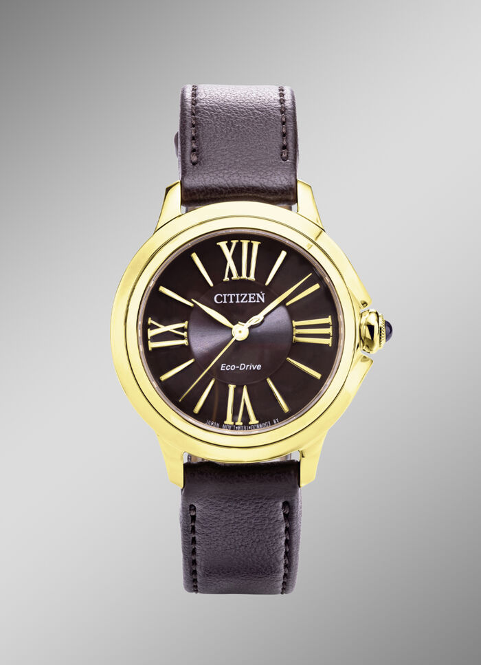 Citizen Solar dameshorloge 