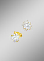 Oorbellen met briljanten en diamanten 