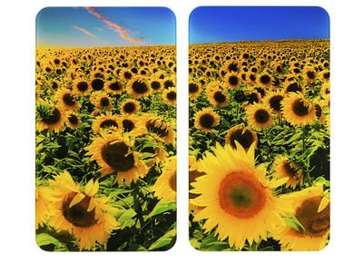 Zonnebloem afdekplaten voor kachel, set van 2 