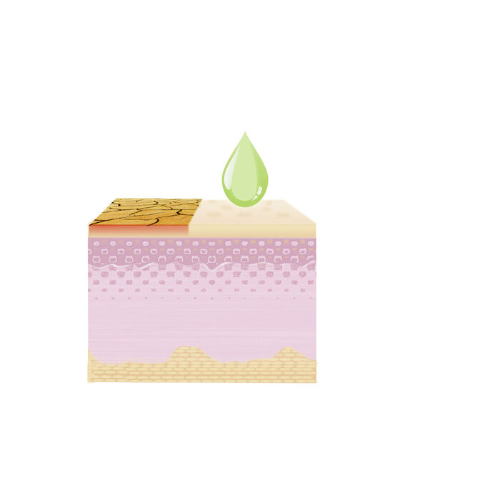Goudsbloemcrème, set van 2 