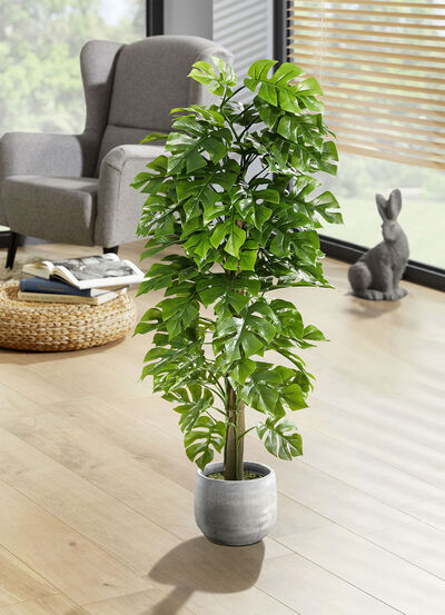 Splitphilo in een pot 