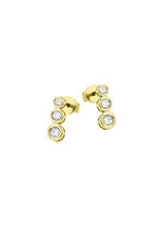 Elegante oorbellen met diamanten 